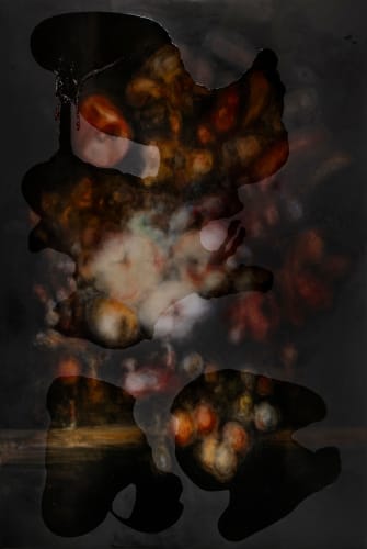 Heikki Marila Kukat CCXXV (225.), 2025 Oil on canvas 390 x 260 cm 153 1/2 x 102 3/8 in