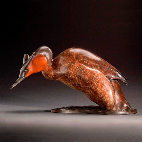 Nick Bibby, Great Crested Grebe