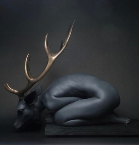 Rachel Ann Stevenson, Soul Stranded, 2021