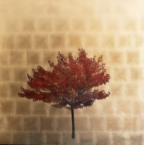 Robert Pereira Hind, Acer Triflorum Autumn