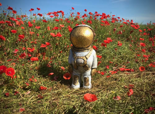 Arran Ross, Another Fine Day On Earth - Poppy Field , East Lothian