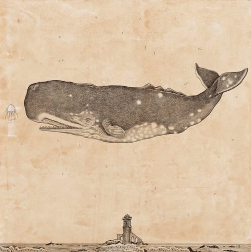 Andrea Collesano MEGAPTERA (Whale) , 2025 Ink on paper 13.78 x 13.78ins (35 x 35cm) (artwork size)