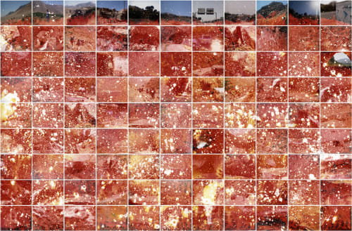 Curtis Mann, red field, 2010