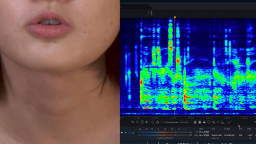 Michael Joo Untitled, 2020 Quadrophonic multimedia installation (14 minutes, 53 seconds) Dimensions variable Edition of 3 plus 1 artist's proof