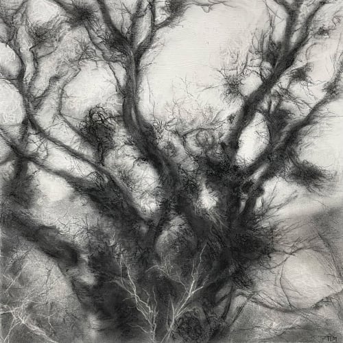 Tansy Lee Moir Besom, 2025 charcoal and conte on wood panel 30.5cm x 30.5cm (33cm x 33cm framed)