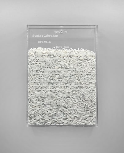 Trong Gia Nguyen, Stoker: Dracula (first chapter, 5725 words), 2021