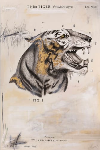 Elizabeth Waggett, T is for Tiger II, 2022