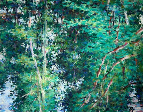 Charles DuBack, Clear Reflections