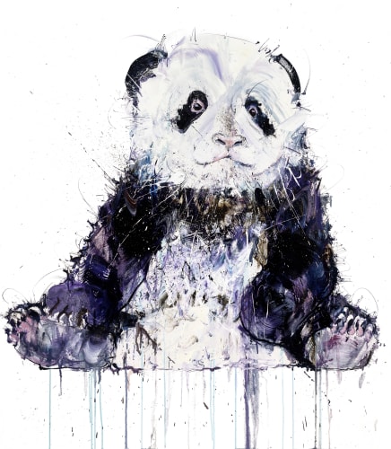 Dave White, Young Panda II, 2018