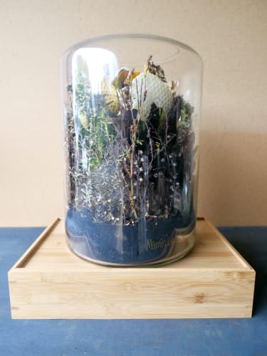 Phantasy, 2022 Botanical Sculpture with volcanic sand, native botanicals, and a natural beehive in glass. The materials are foraged from Paradise, Glenorchy on the South Island and Velskov, Waitakere on the North Island of New Zealand. The bee wax are all natural from hives in Parau, Waitakere. 35 x 24 cm 13 3/4 x 9 1/2 in