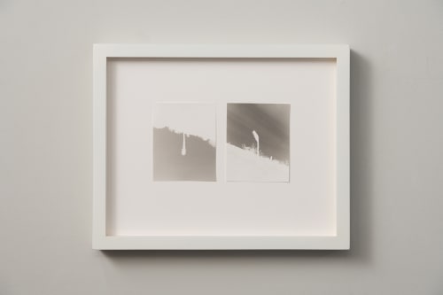 scott b. davis, two joshua trees, near aberdeen road, 2023