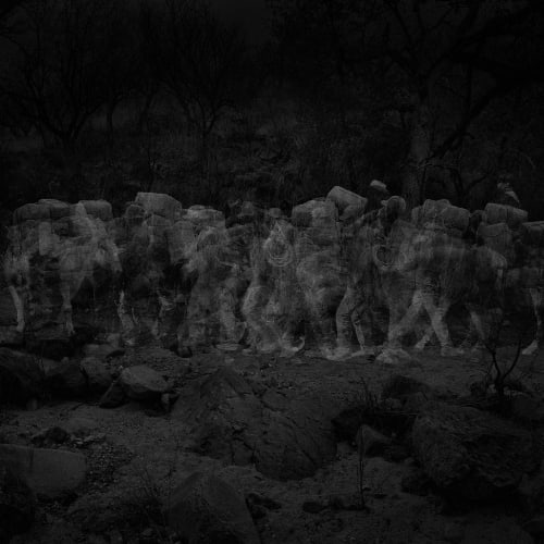 Alex Turner, 29 Humans (Smugglers) and 12 Horses, 1-Week Interval, Patagonia Mountains, AZ, 2019