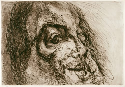 Marwan Face landscape, 1975 Etching in brown black on laid paper 67.8 x 97.5 (70 x 100.3) cm