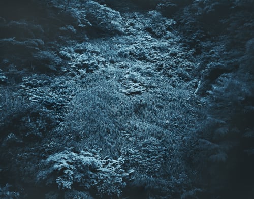 Yojiro Imasaka, Illuminating Earth 129 - C1 April 28, 2020, 2020