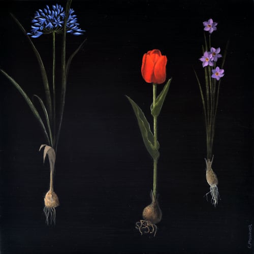 Carol Mothner Suspension fluid acrylic on panel 10 x 10 inches [ 13.6 x 13.6 inches framed ]