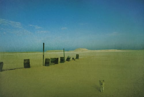 Dolorès Marat, Le chien du check-point, 2011