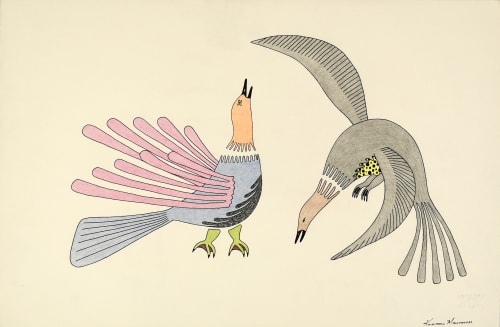 Qavavau Manumie Sans titre (072-0004), 1982-83 crayon de couleur et encre / colored pencil and ink 13 x 19 3/4 " 33 x 50.2 cm