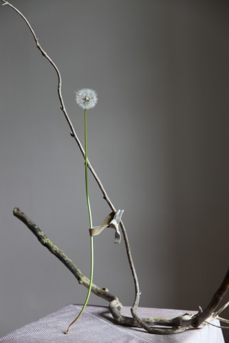 Benny Nemer, Everywhen, 2019