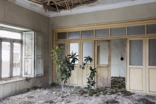 Gohar Dashti, Home (series) two trees, 2017