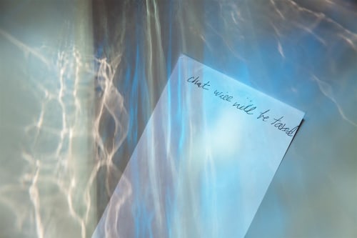 Olivia Parker Chat Tax, 2016 archival digital pigment print 14.5 x 22 inches 36.83 x 55.88 cm