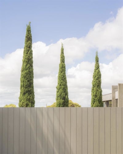 Scott Cai Arney Road, 2023 Hahnemuhle Photo Rag, edition of 8 50.0 x 40.0 cm