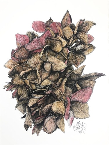 Liam Gerrard Untitled (small red and yellow), 2019 charcoal and pan pastel on paper 49.0 x 35.5 cm