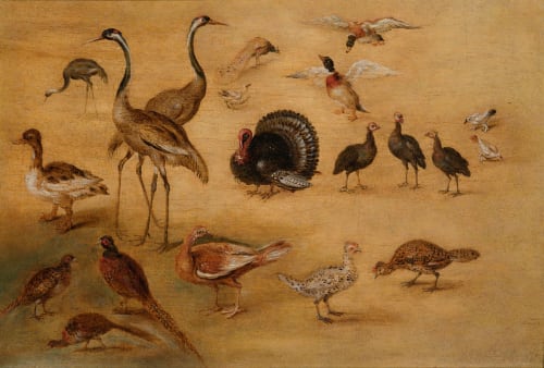 Jan Brueghel the Younger, (workshop of) Bird study/ (atelier de) Etude d'oiseaux, 1626
