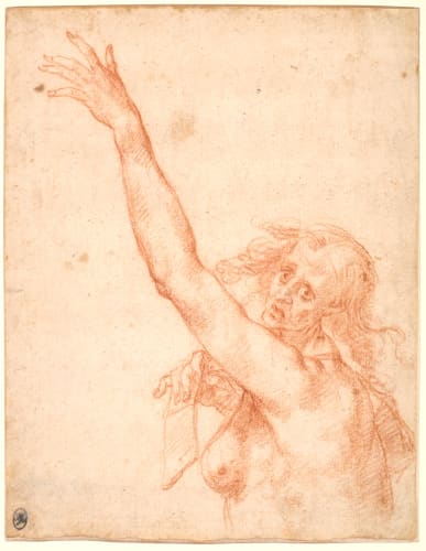 Giovanni Mannozzi, called Giovanni da San Giovanni, (Attributed to) Study of a Fate at mid-body / (Attribué à) Etude de...