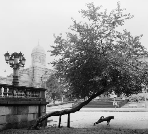 Pentti Sammallahti Helsinki, Finland, 1982 Silver gelatin print Signed front 20 x 25 cm