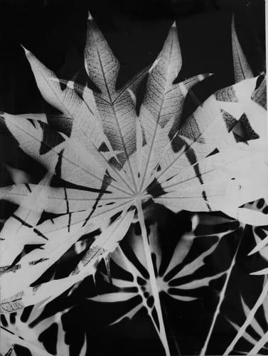 José Yalenti, Floreal / Floreal, circa 1966