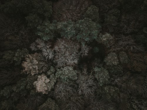 Katrina Forrest Untitled, 2013 Test medium 100 x 100 cm