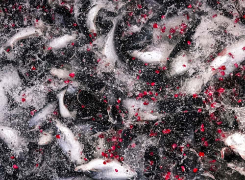 Tom Potisit, BIRTH, DEATH, REBIRTH, 2019