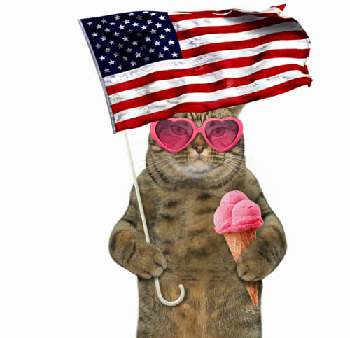 Election Party, Featuring a Group Show of Bay Area Artists