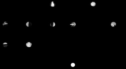 WeiXin Quek Chong | FAD