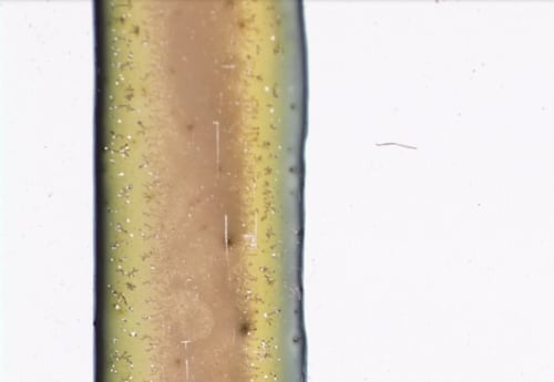 XING & Sriwhana Spong | Photo London Lives