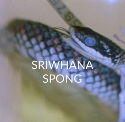 XING & Sriwhana Spong in conversation: Transcript | Photo London