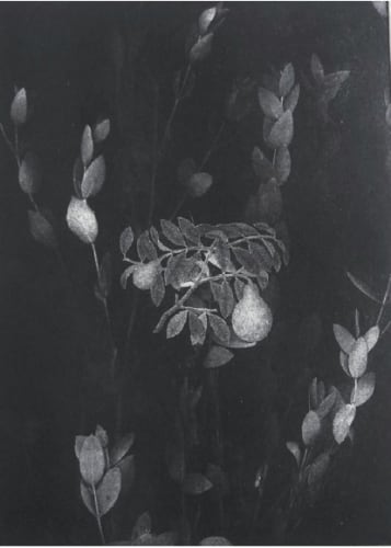 WeiXin Quek Chong | Repeat, Repeat Repeat... excerpt