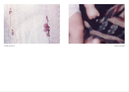 These Hands Shall Carry You Home, Elizabeth Gabrielle Lee