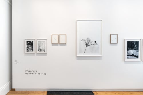 Exhibition Walk Through, Fiona Ones | Do Not Name a Feeling