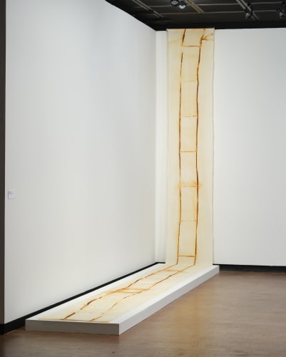 Tanya Aguiñiga acquired by the Wichita Art Museum