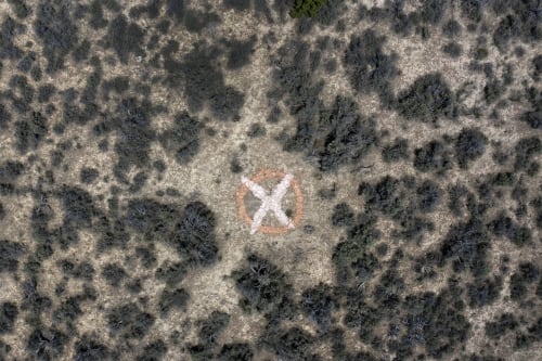 Brie Ruais, "In the Crosshairs," 2020 archival pigment print. Courtesy Brie Ruais