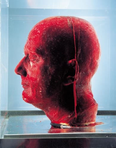 MARC QUINN, SELF, 2001