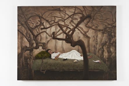 GERALDINE JAVIER, THE ERL KING'S CAGE, 2013
