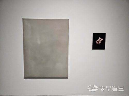 [News] Yellow ribbon that fluttered for 10 years, when will the answer of the years come to mind... The 10th anniversary of the Ferry Sewol disaster 'Memory, Stare, Wish"