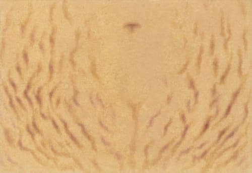 LEE Eunsil, Surging Waves