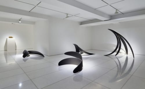 Martin Cid Magazine: Lost in Garden