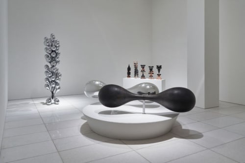 Newsis: Lost in Garden