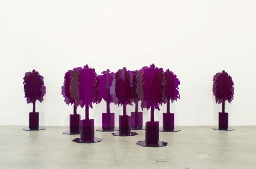 David Schafer: Models of Disorder