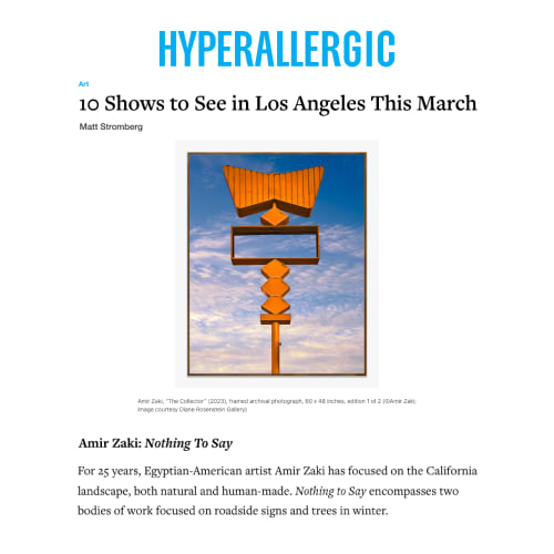 Amir Zaki in '10 Shows To See in Los Angeles This March'