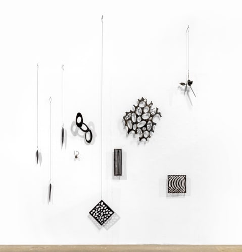 Carolina Sardi, Microcosms